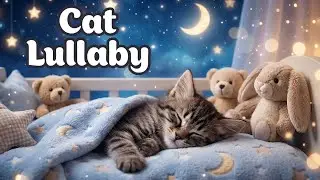 Soft Kitten Lullaby For Stress Relief And Calm Dreams | Bedtime Cat Music Background