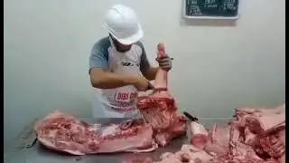 Marvin B. Buenaflor - PRIMAL CUTTING OF HALF PORK CARCASS