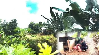 Green Living: How a Man Utilizes Natural Materials to Build a Farm