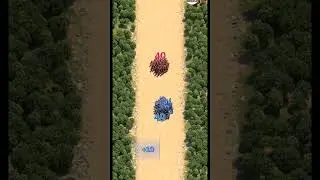 Total Battle - Subscribe to Game Arena 🎮