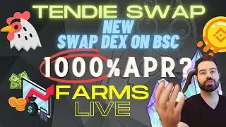 TendieSwap $TENDIE - NEW DEX ON BSC EARLY!!