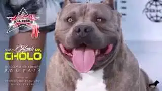 ABKC Spanish Bullys All Star IV (Madrid 2015)