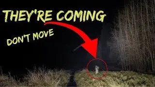 Disturbing Forest Cam Videos No One Saw Coming