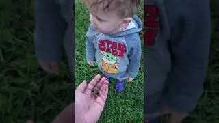 First Frog of the Year