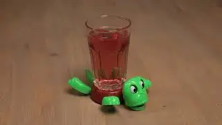 Schildpad Onderzetter met Geluid