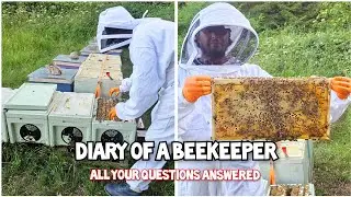 The Art Of Bee Keeping And Making Raw Honey FULL GUIDE 