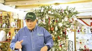 Straight from the Source: Peacock Road Tree Farm in Laingsburg