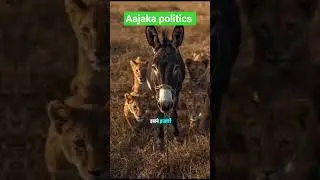Gadha or Ser #politics #shortsfeed #funny #tiktok #reels #comedy #tiktokvideos #cartoon#mrbabu