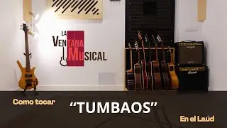 🎶 Como tocar 