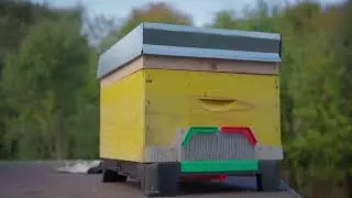 Ceracell Hive Defender Floor &ndash; The Ultimate beehive Base Explained