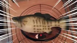 How to Backfisch - The Broom Death Thunder Bristles