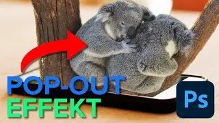 How to make a 3D Pop-Out Effect for Beginners