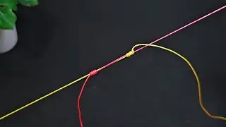 🎣🔥Strong Braid to Mainline Fishing Knot | Grinner Knot