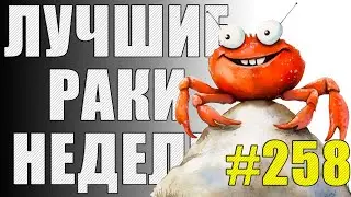 ЛРН выпуск №258 🤪 ТАНЦЫ-ЖМАНЦЫ и ГУСЕНИЧНЫЙ КОЛЕСНИК [Лучшие Раки Недели]