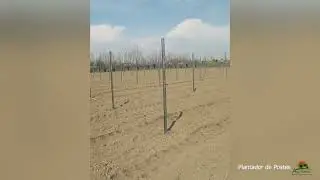 107 PLANTADOR DE POSTES