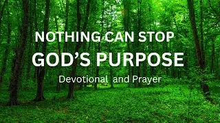 Nothing Can Stop God’s Purpose |Trusting God When Life Doesn’t Make Sense |Job 42:2 Devotional