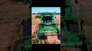 Grass Seed Harvest