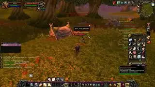 Let's Play WoW Classic Hardcore Folge 9