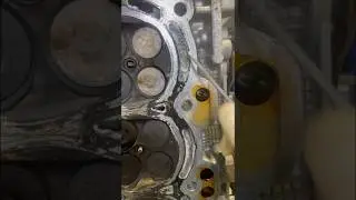 Why You Should Never Use Head Gasket Sealer #Prius