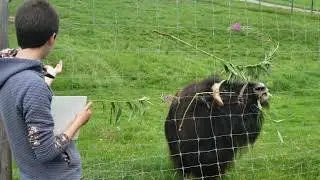 Large Animal Research Station - University of Alaska