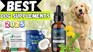 Because They&rsquo;re Family &ndash; The 5 Best Dog Supplements of 2025
