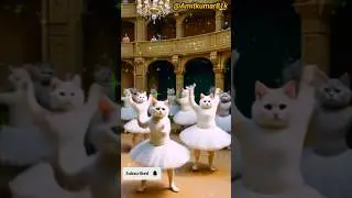 🥀🌻🐈cat 🐈cute #shorts #dancingcat #cutereels #funny #dancingreels #cutecatdancing #trending #reels