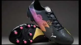Limited Edition Puma evoSPEED 1.3 Africa FG HD