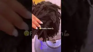 Freeform Locs Transformation 🔓 #dreads #knotnation