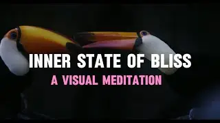 Visual Meditation for Mindfulness and Relaxation