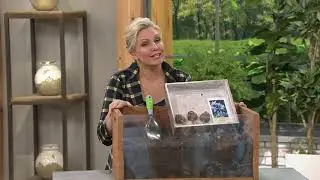 Barbara King 25-Piece Dutch Iris Blue & White Mix on QVC