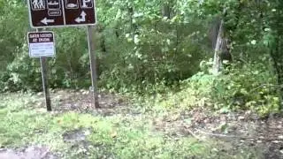 Hurricane Irene 2011 Smithville Park Eastampton, New Jersey