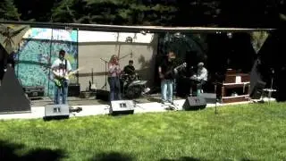 Grapevine by The Snarky Cats
