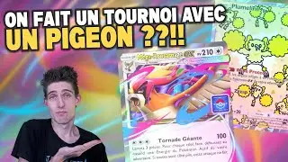 ON TENTE DE GAGNER UN TOURNOI AVEC UN PIGEON ??!!