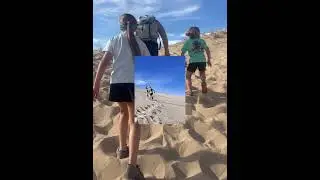 7 Magic Mountains and Kelso Sand Dunes Winter 2025