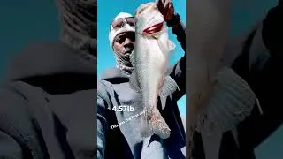 #bigbassdreams #nature #bigbassenergy #bigbassonly #MississippiBassFishing