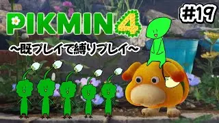 【ピクミン4】オッチンと行く【無犠牲縛り】 ⑲