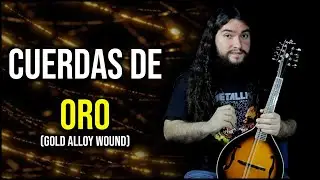 &iexcl;CUERDAS DE ORO! | Gold Alloy Wound | En Mandolina