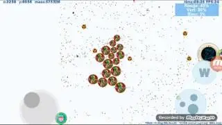 Petri dish skin dragon 6k
