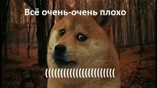Ответ на вопрос: 