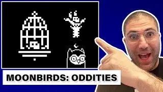 Veecon Takeaways & Moonbirds: Oddities