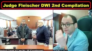 DWI 2nd Compilation   Judge David Fleischer - Vikky's Court Watch