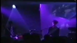 The Frozen Autumn - Painted Girls (Live)