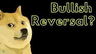 📉 DOGECOIN Price Prediction - DOGE Plunges!!! When Can We See A BULLISH REVERSAL?