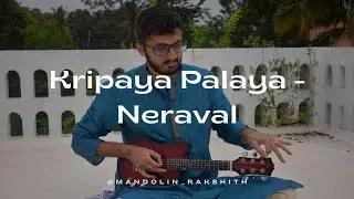 Kripaya Palaya - Neraval | Mandolin Rendition | Live in Bengaluru