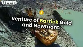 Unveiling the Gold Mining Giants