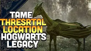 How To Tame A Thestral In Hogwarts Legacy - Mythical Beast Location Guide