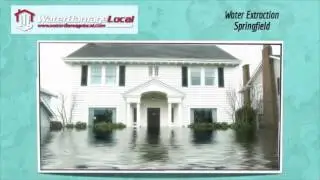 Water Extraction Springfield ~ Mildew Clean Up
