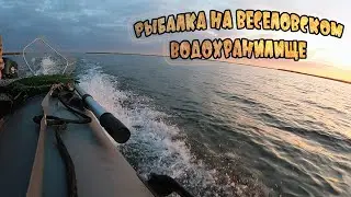 НАЛОВИЛИ ОКУНЯ. Выезд на ВЕСЕЛОВСКОЕ водохранилище.