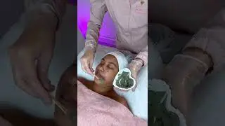 Aplica&ccedil;&atilde;o de argila verde