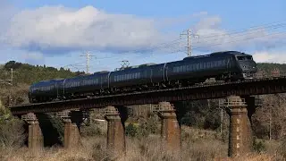 日豊本線 田野～青井岳 6004M きりしま4号 787系
